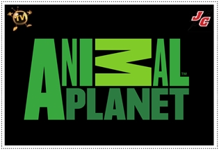 TV ANIMAL PLANET